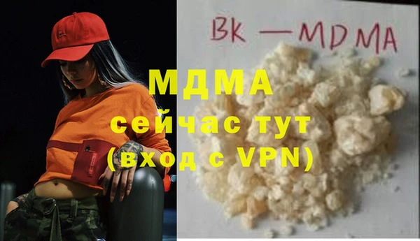индика Арсеньев