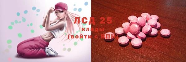 индика Арсеньев