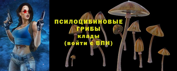 метадон Армянск