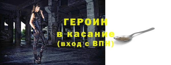 индика Арсеньев