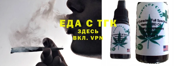 индика Арсеньев