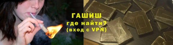 индика Арсеньев