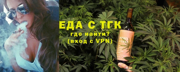 индика Арсеньев