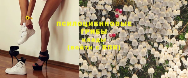 индика Арсеньев
