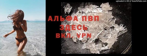 индика Арсеньев