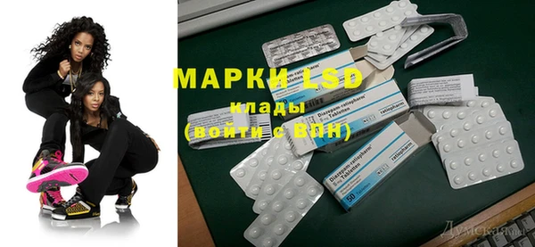индика Арсеньев