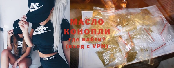 индика Арсеньев